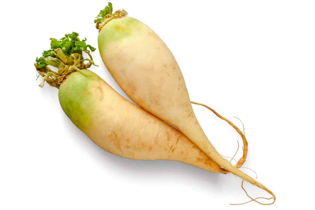 Long creamy yellow radish with green tops. 