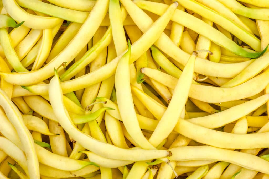 Heaping pile of yellow string beans. 