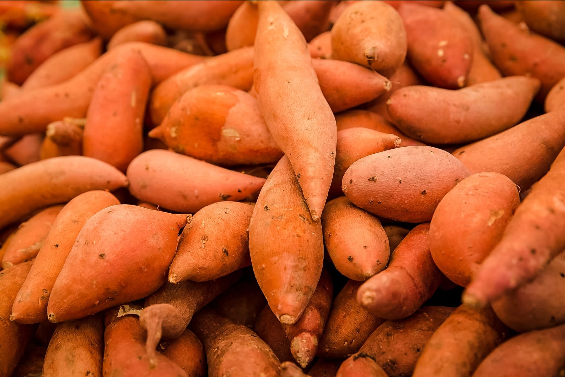 Large pile of sweet potatoes covering the surface.