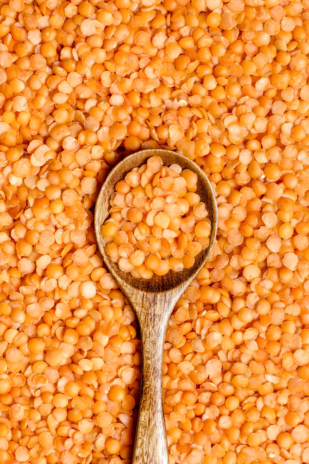 Red lentils with a spoon close up.