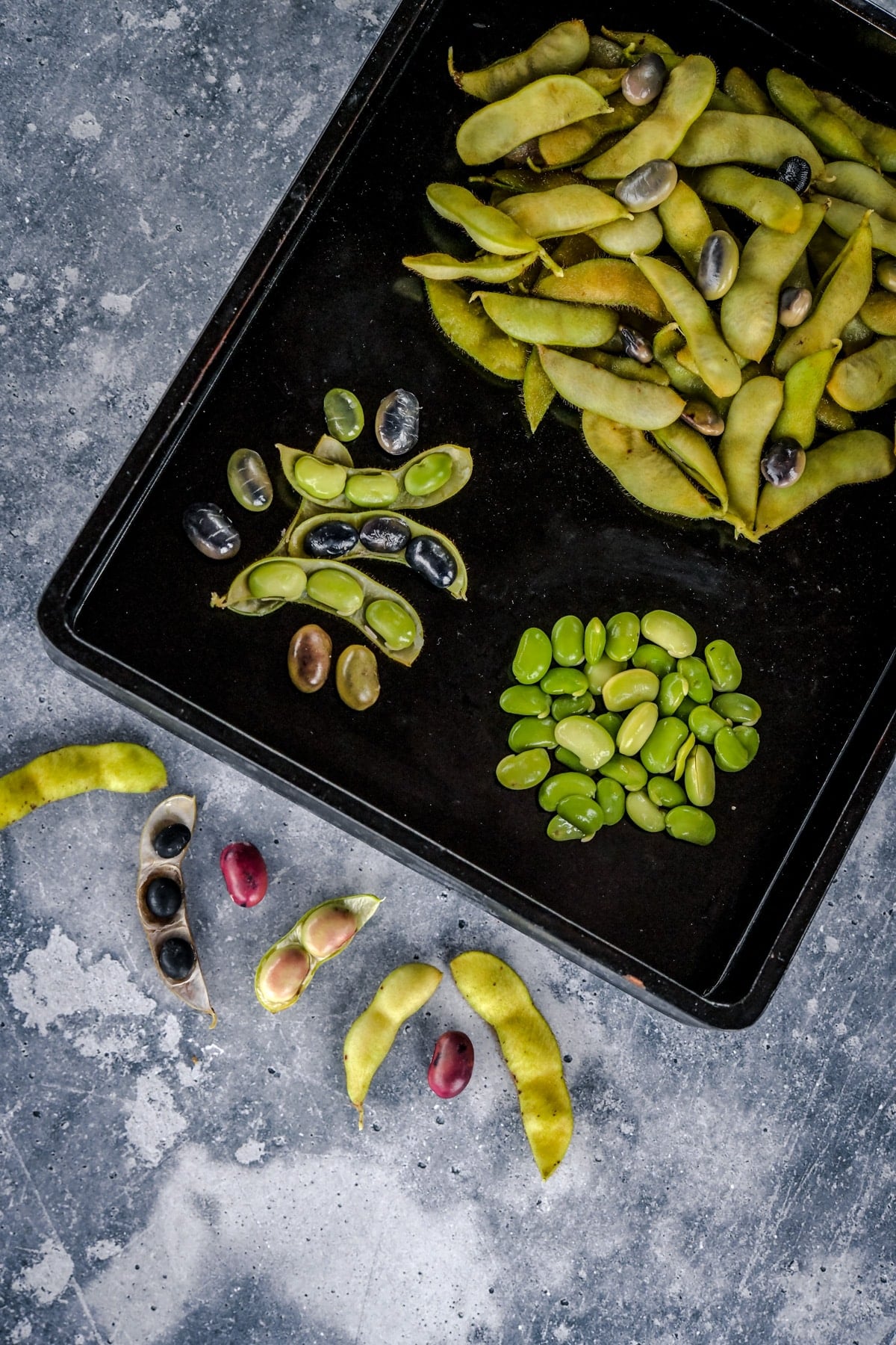 Black soybeans with their green pods laying on a black tray.