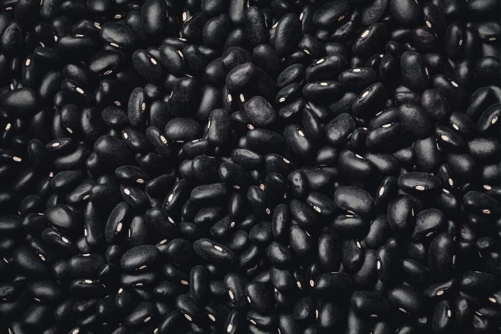 Lots of black turtle beans covering the table's surface.