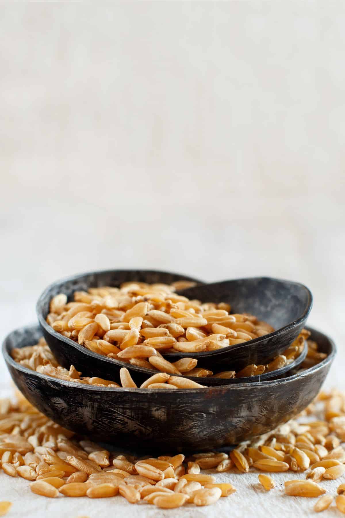 Tan-white Khorasan in handmade bowls on a white counter.