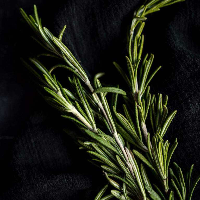 A bunch of rosemary on a black cloth.