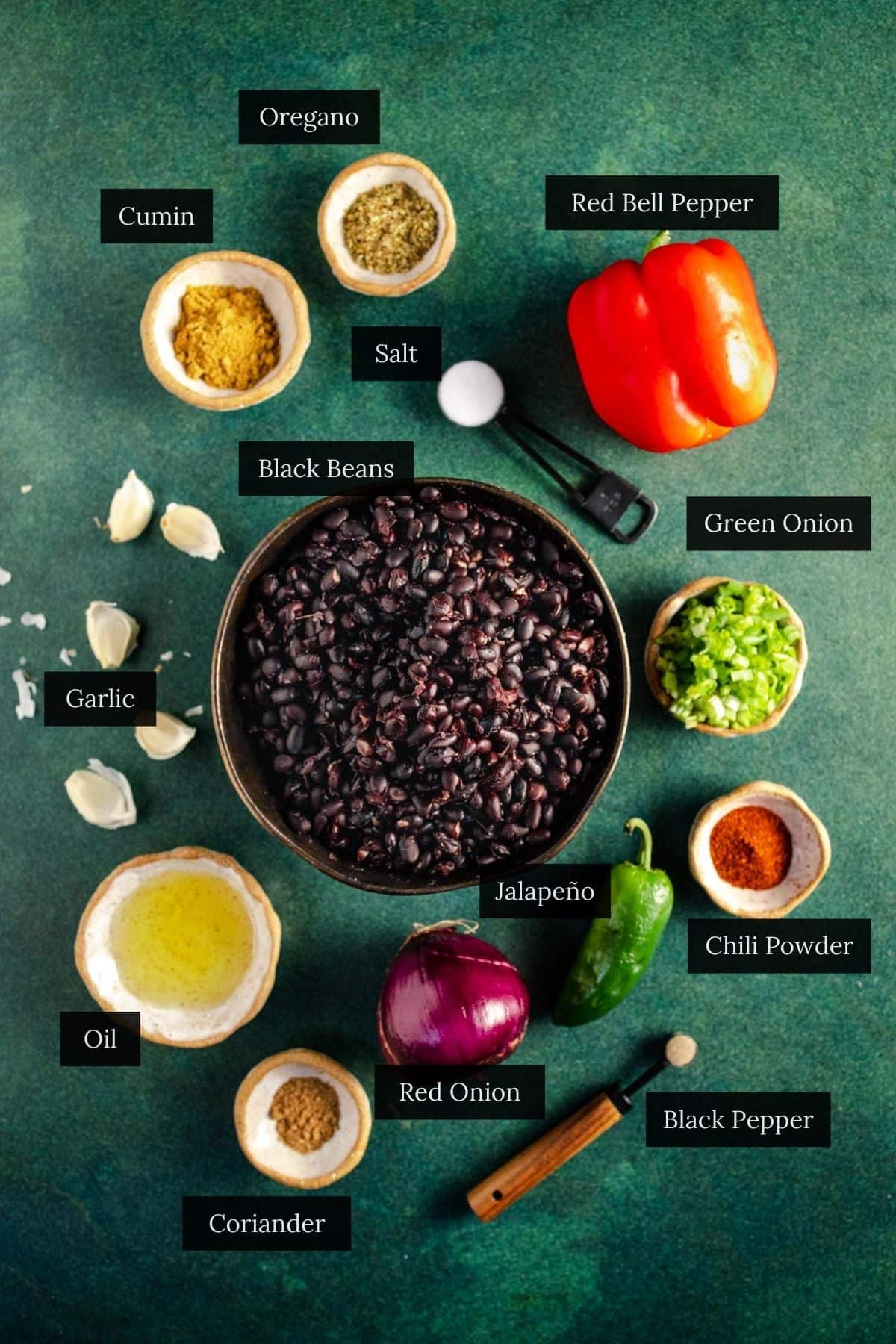 Ingredients for a black bean soup recipe include black beans, oregano, red bell pepper, cumin, salt, green onion, garlic, jalapeño, chili powder, black pepper, oil, red onion and coriander on a green background.