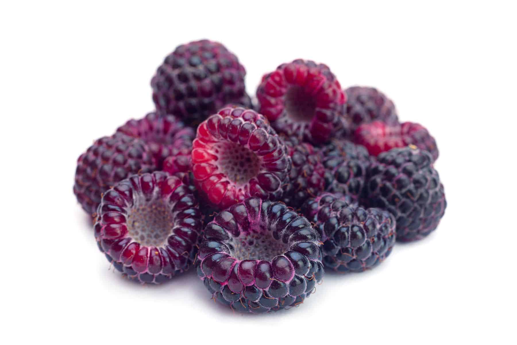 A pile of fresh black raspberries on a white background.