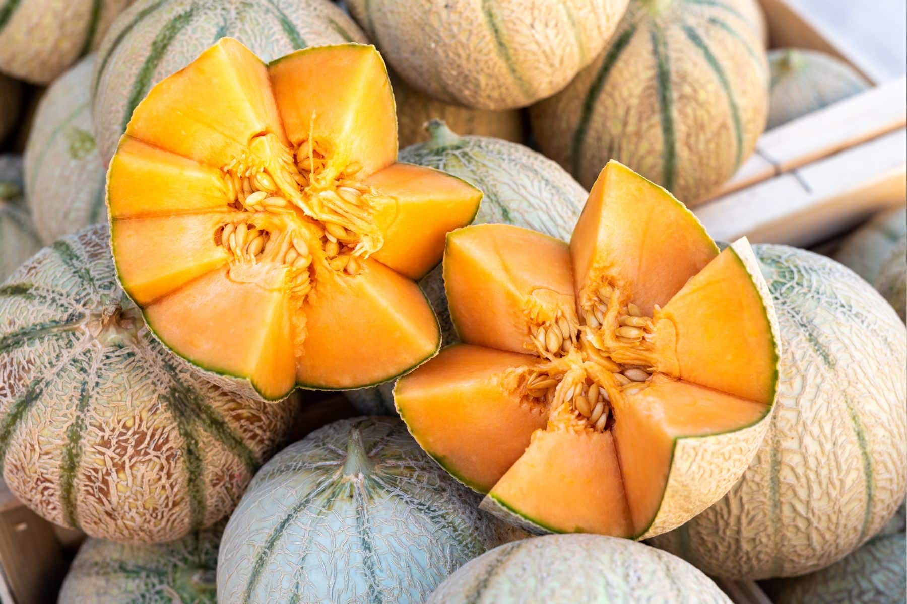 Sliced melon revealing orange flesh and seeds, placed on a pile of whole melons.