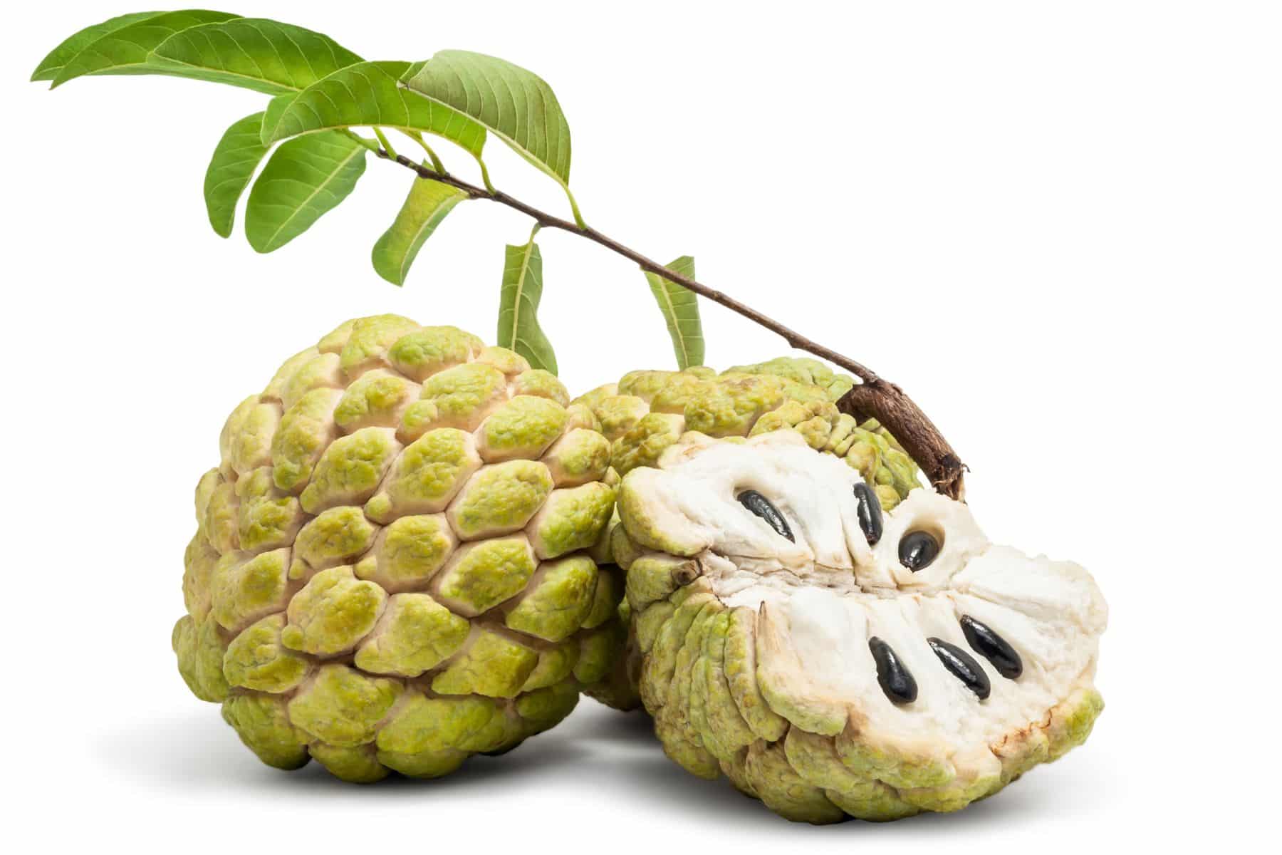 Two custard apples with green, textured skin; one is whole and one is cut open to reveal white flesh and black seeds.