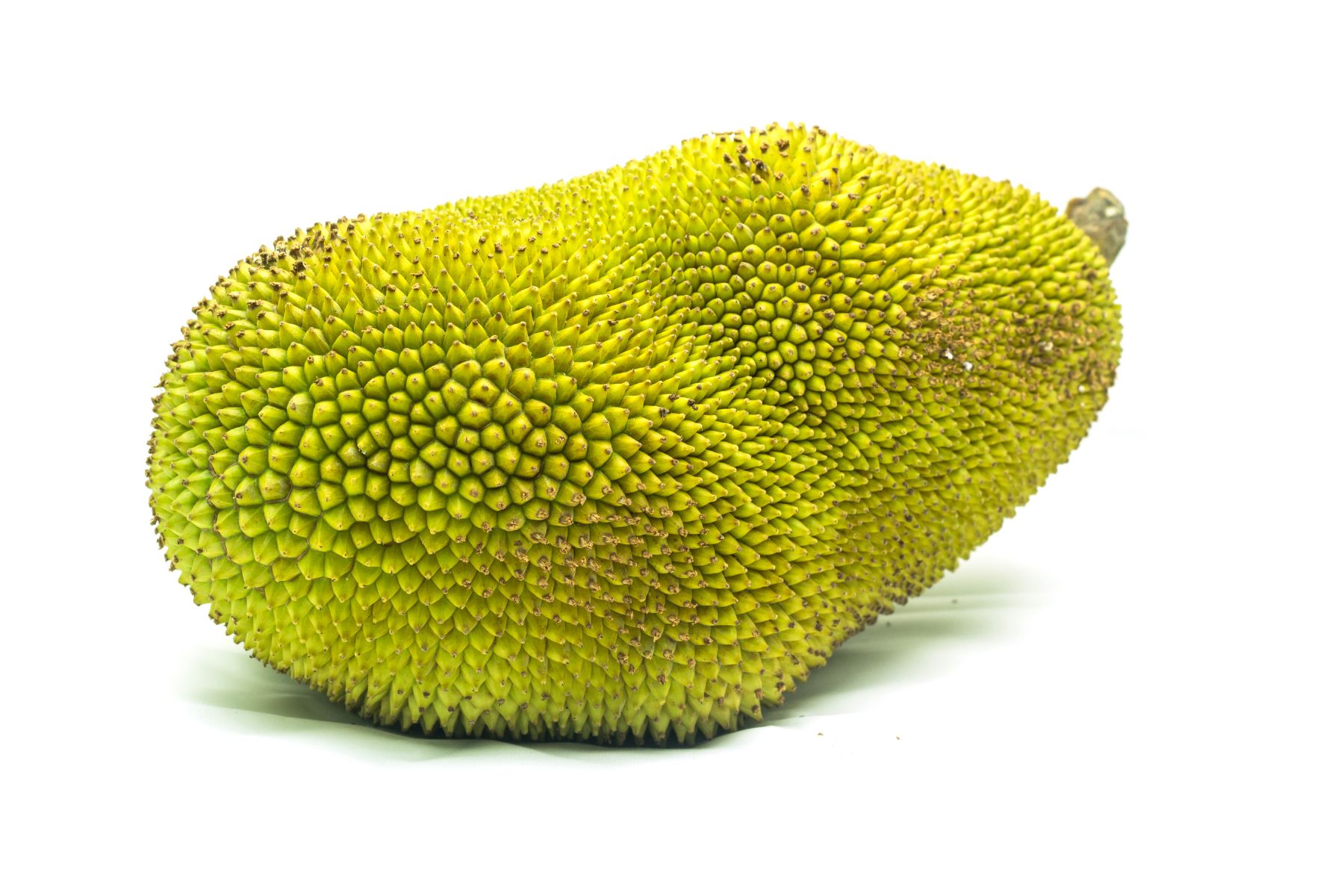A single whole jackfruit with spiky green-yellow skin on a plain white background.