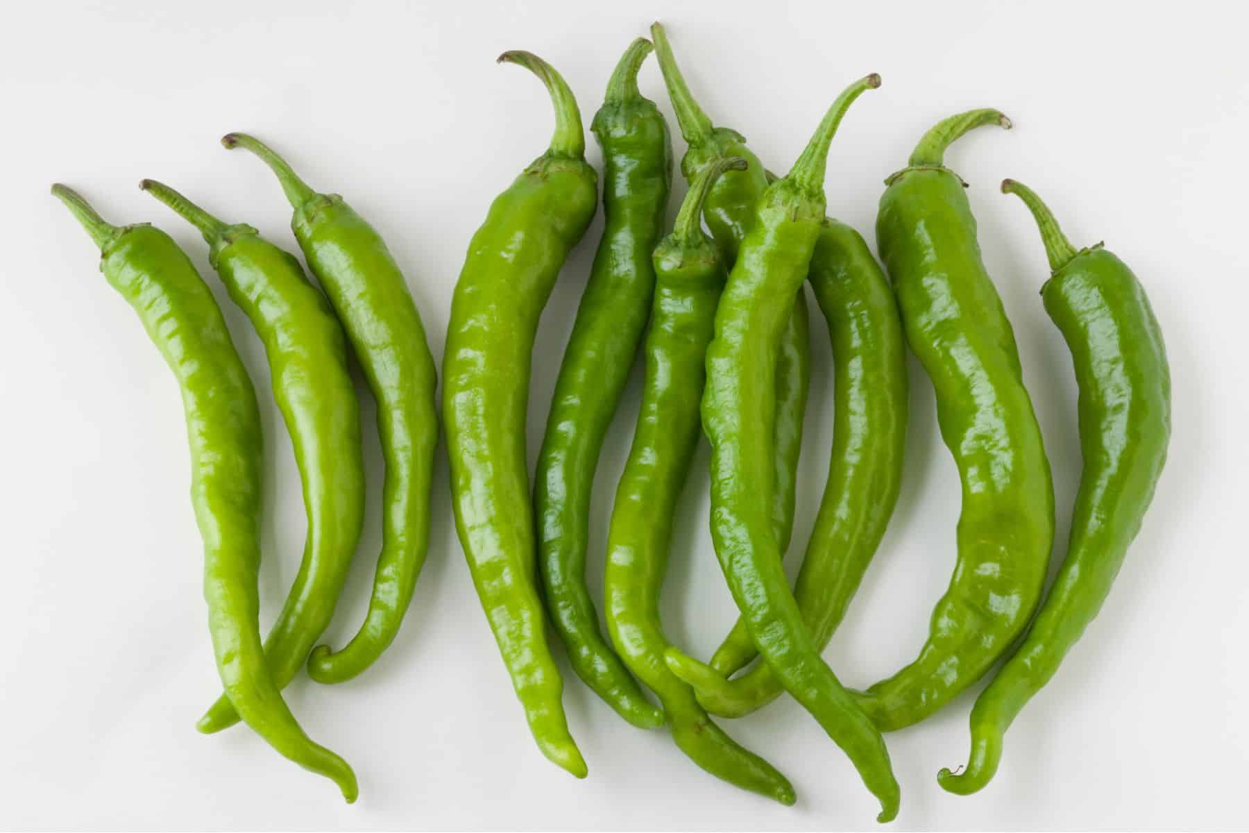 A group of ten fresh, green chili peppers arranged on a plain white background.