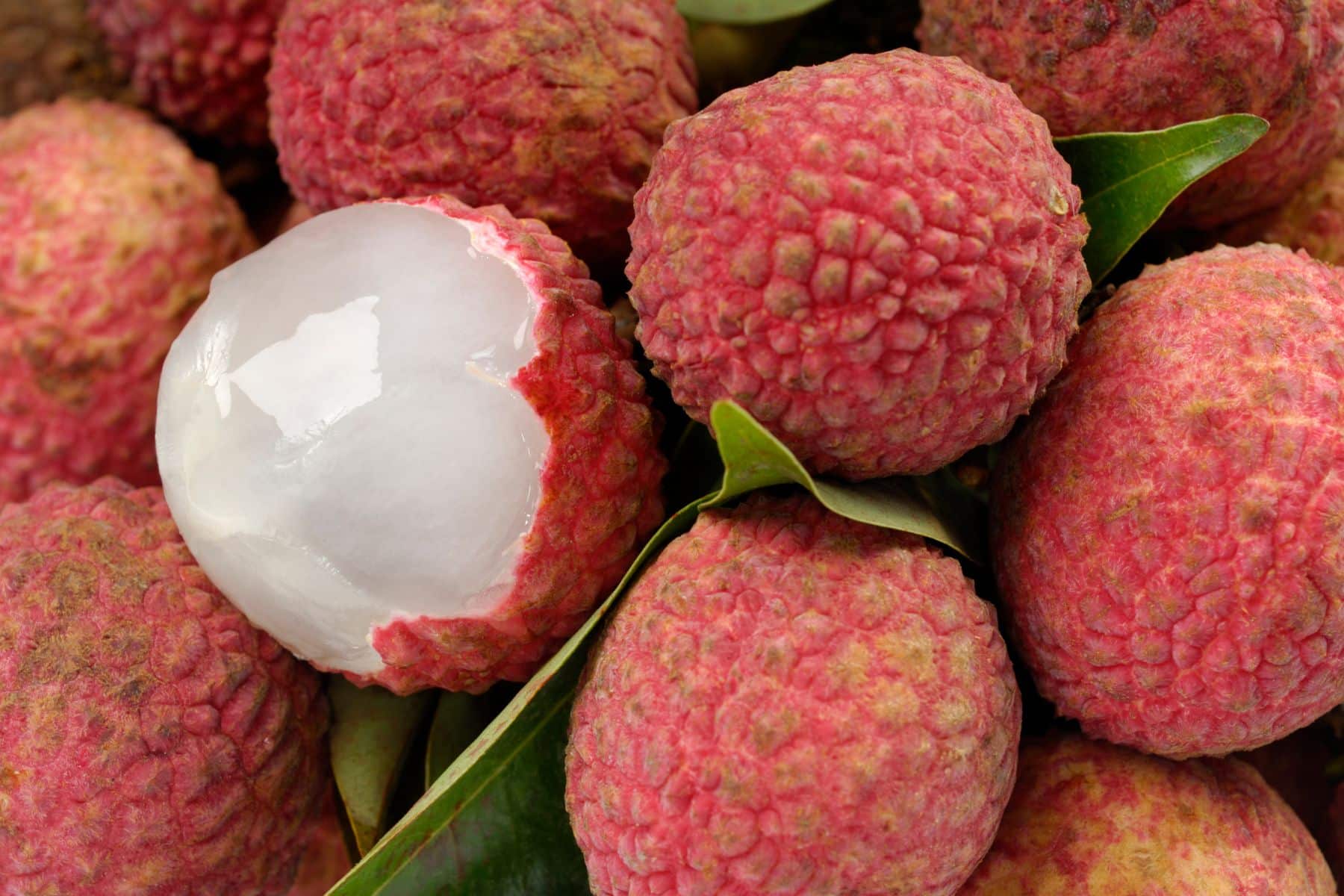 Close-up of fresh lychees with pink textured skin. One lychee is peeled, revealing the glossy white fruit inside.