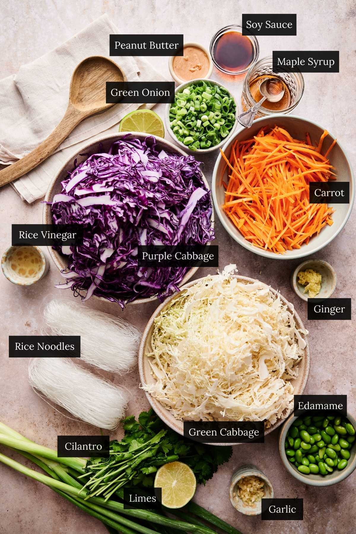 Ingredients for a homemade spring roll salad with each ingredient labeled.
